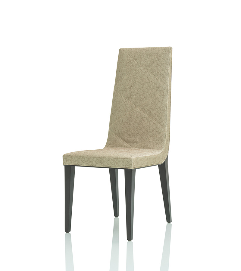 Dining Chair 04263